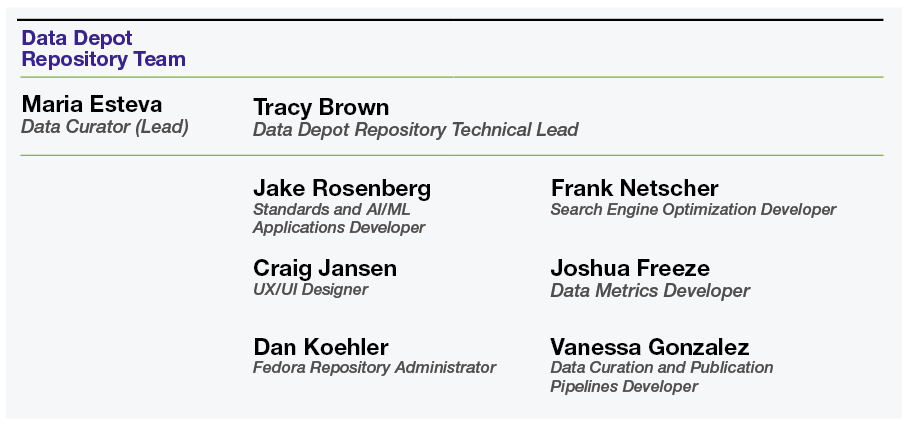 DesignSafe Data Depot Team Organization